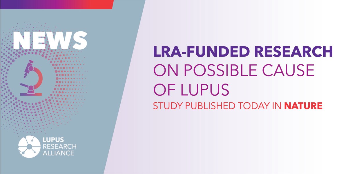 Congratulations to LRA grant recipient <a href="/Deepakarao/">Deepak Rao</a> at <a href="/BrighamWomens/">Brigham and Women's Hospital</a> and colleagues <a href="/jaehyukchoimd/">Jaehyuk Choi</a> at <a href="/NUFeinbergMed/">Northwestern Feinberg School of Medicine</a> on breakthrough research into a new lupus pathway, published in <a href="/Nature/">nature</a>: news.northwestern.edu/stories/2024/j…
#lupusresearch
