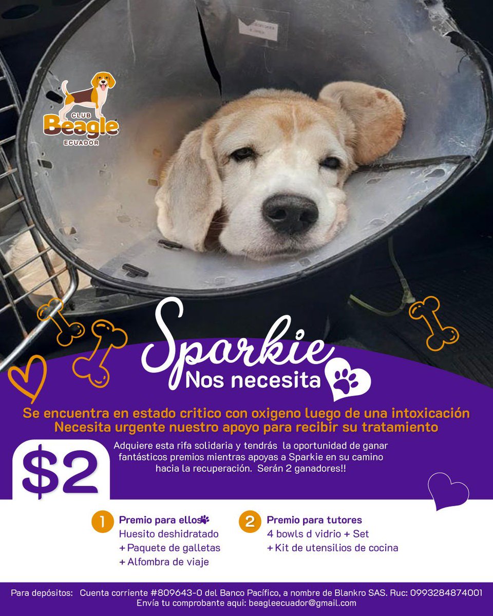 Sparkie, uno de nuestros viejitos está luchando por su vida y nosotros no nos rendimos en esta batalla. La familia de Sparkie ha organizado una rifa para el próx 10 de agosto¡𝗖𝗮𝗱𝗮 𝗯𝗼𝗹𝗲𝘁𝗼 𝗰𝗼𝗺𝗽𝗿𝗮𝗱𝗼 𝗲𝘀 𝘂𝗻 𝗿𝗮𝘆𝗼 𝗱𝗲 𝗲𝘀𝗽𝗲𝗿𝗮𝗻𝘇𝗮 𝗽𝗮𝗿𝗮 𝗦𝗽𝗮𝗿𝗸𝗶𝗲