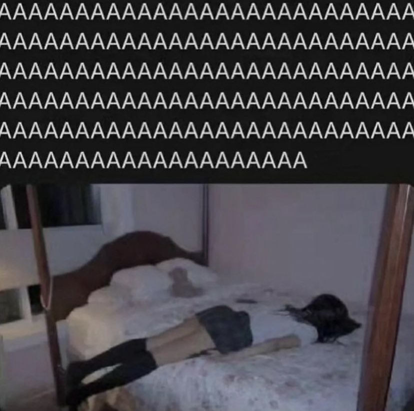 northstardoll's tweet image. 