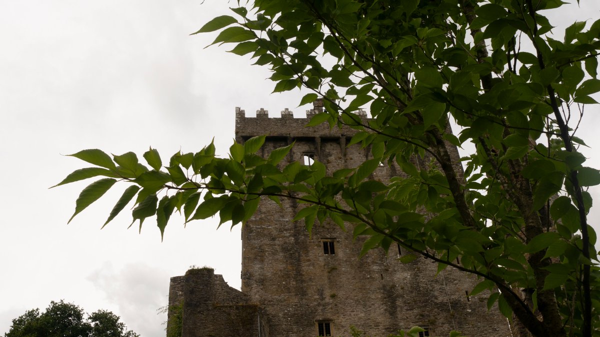 baz_blackadder's tweet photo. Viewing Blarney Castle from behind the surrounding trees and foliage.
Blarney, Cork, Ireland.
July 2024.
#Photography #architecturephotography #ruralscape #countryscape #archaeology #history #BlarneyCastle #Blarney #Cork #Munster #Ireland. https://t.co/QoyhhwNnZt