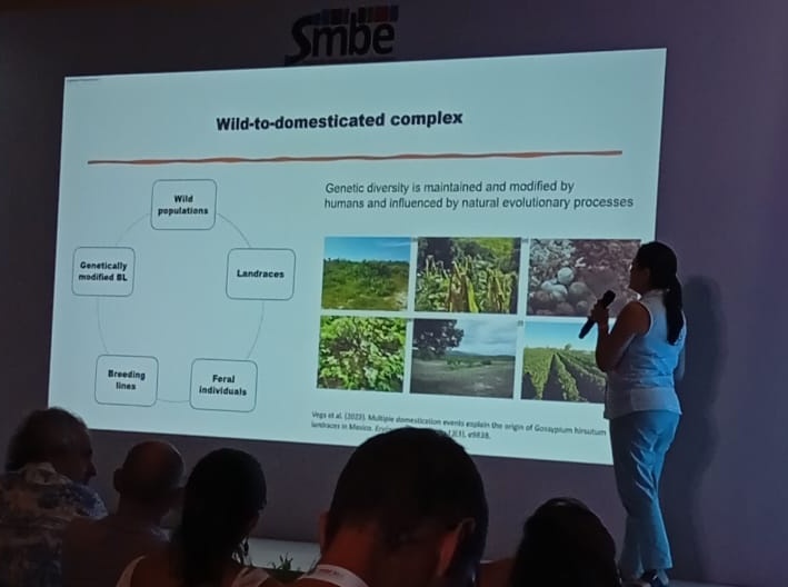AliciaMstt's tweet photo. #SMBE2024 #TakeHomeMessage: domestication is a non-linear process. -said by many at the domestication and agrobiodiversity symposia, but beautifully explained by @AzaleaGg using beans and lentils as examples https://t.co/zvlfbhOM6z