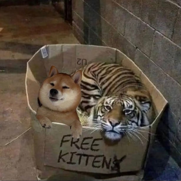 cozyctosol's tweet photo. there is an imposter among us...

$cozy https://t.co/hd92zsx7pX