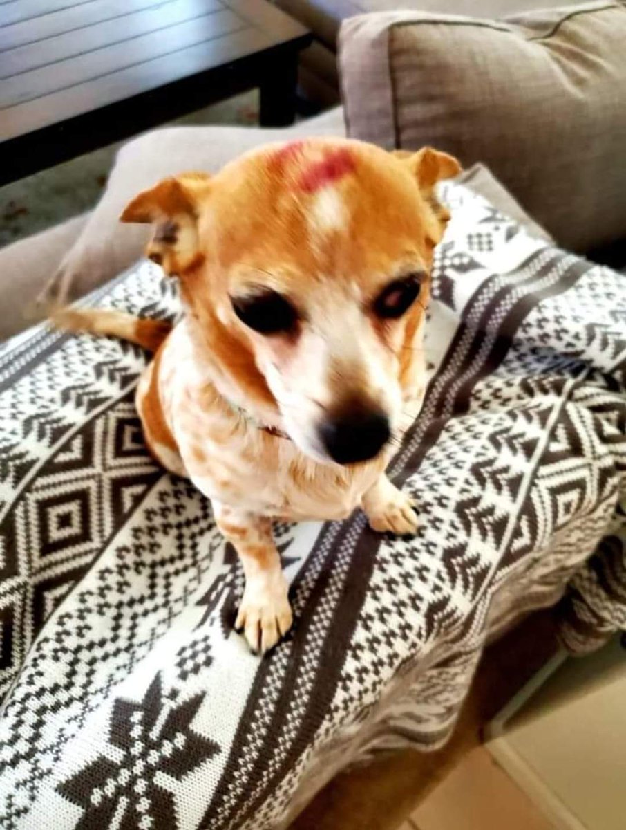 Helen Bradford tweet media