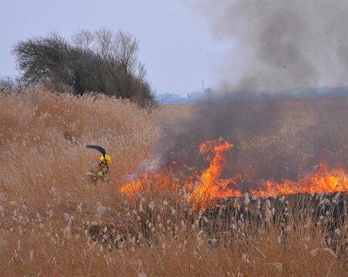 Deliberate fires destroys habitats, wildlife, homes and lives. As the summer (hopefully) approaches and the school holidays begin, please ensure your own safety as well as others. Think before you act, look after our countryside and park areas. #leavetheBBQathome
