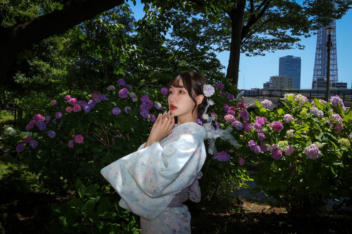 BR1203k's tweet photo. おはようございます😊
#Myui さん214 @Myui1023 
#着物と紫陽花 15  ✨️美しい✨️
#japanessegirl #girlsphoto #モデル撮影 #女の子の可愛い追及部隊 #写游会 #紫陽花 #隅田公園 #cool_portrait_ #Love_bestjapan #photo_jpn #portraitofjapan #daily_photp_jpn https://t.co/SJcSKtmgFs