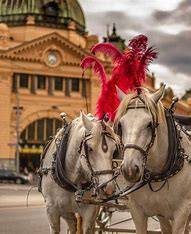 explorianHouse's tweet photo. @TomElliott3AW after sitting in on a University lecture ...my conclusion ...academic #cyclists hate cars and love their cycle sport so much..they gonna make us love them too ..#limiting car access to roads #increasing bike lanes bla bla bla....I'd rather go straight to the #Horse https://t.co/pMISS1PCBG