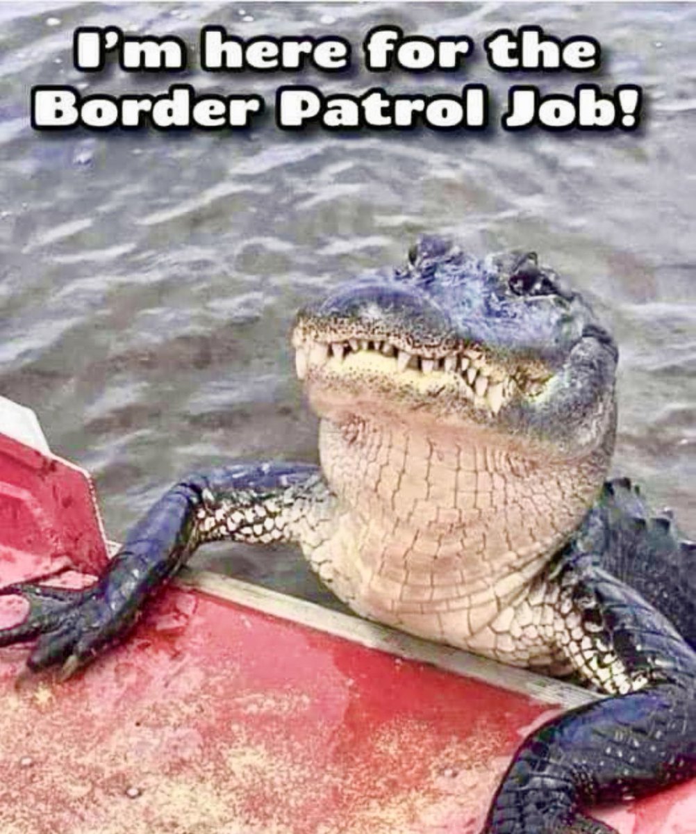 TracyhvFun's tweet photo. @SpeakerJohnson Make it stop!🛑
#wideopenborders🔥🐊🔥🐊🔥🐊 https://t.co/EW9PQaNwns