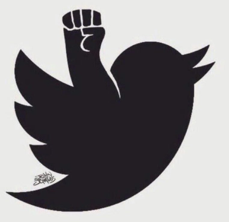 Sérgio Augusto tweet media