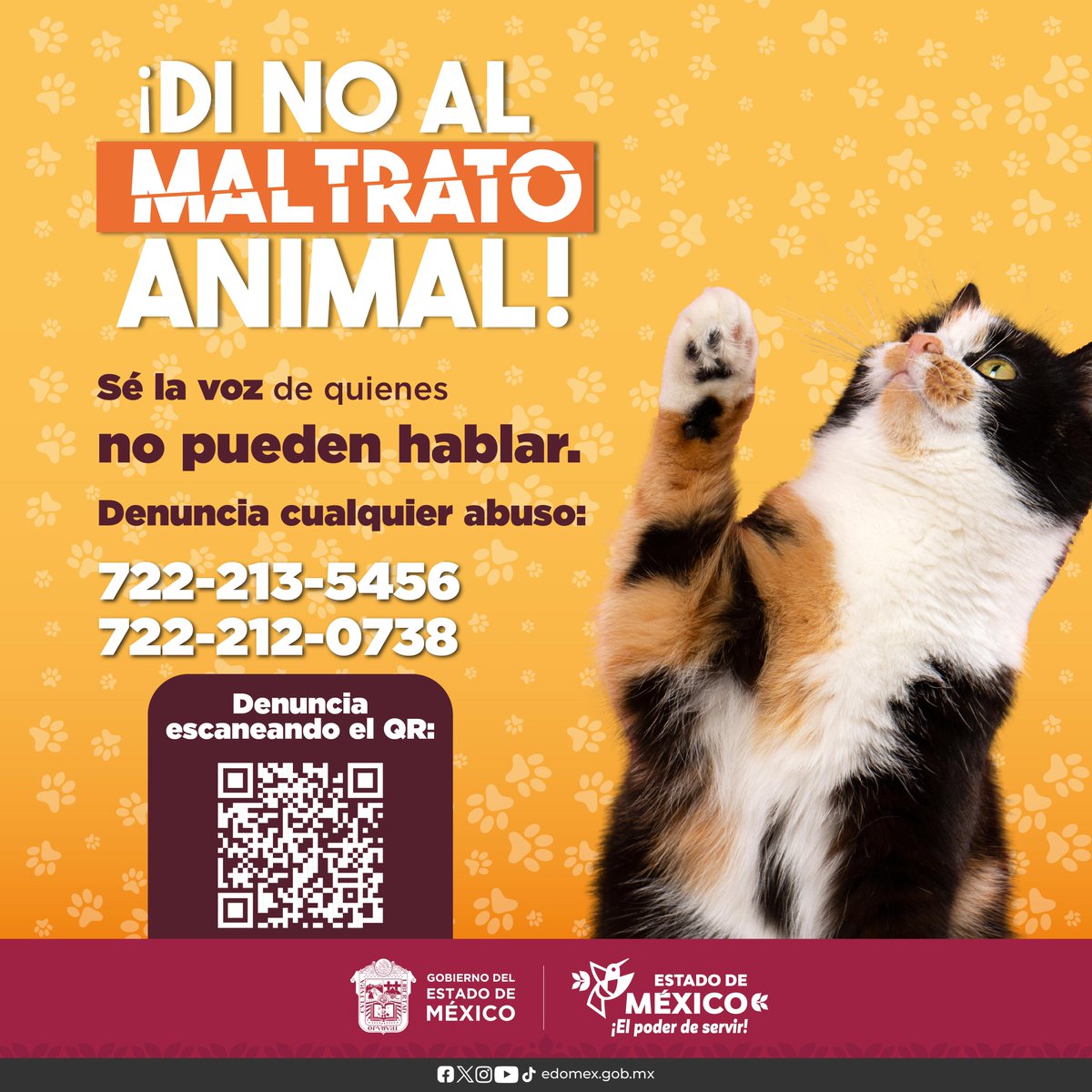 ¡Denuncia el maltrato animal!
Sumando esfuerzos podemos proteger a los que no tienen voz. 
Reporta cualquier acto de este tipo a los teléfonos:
📞 722 213 5456
📞 722 212 0738

#ElPoderDeServir