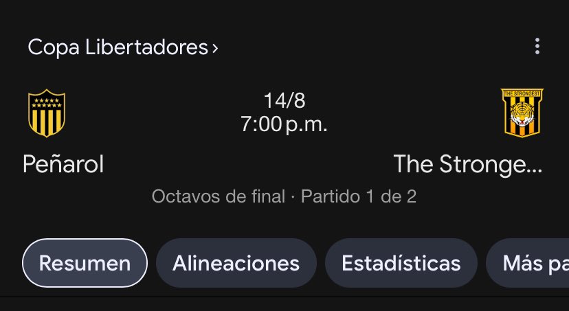 se termino la copa américa. mentalmente ya estoy acá…