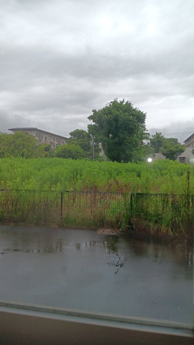 Last few weeks in Japan, then back to Norman 🥲