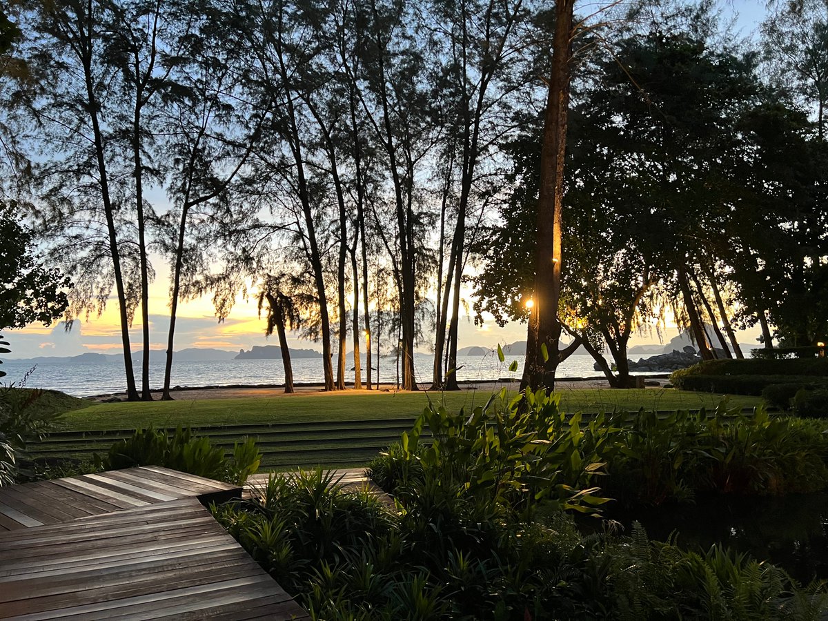 Frank Marshall tweet media