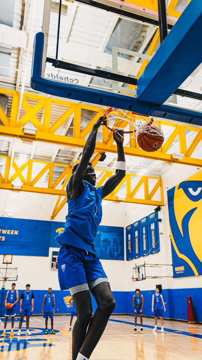 Drop some HBD messages for <a href="/Amdy_1zer0/">Amdy Ndiaye</a> 

#H2P