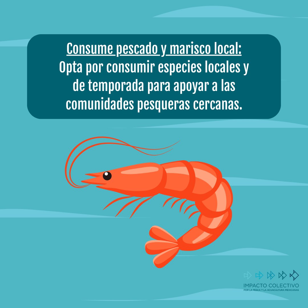 Ayuda a difundir la importancia de proteger nuestros océanos compartiendo estos consejos con las personas más cercanas a ti. ¡Marquemos la diferencia uniendo fuerzas!🌐💙

#VacacionesSostenibles #CuidemosElMar #VidaMarina #TurismoResponsable #ICPMX