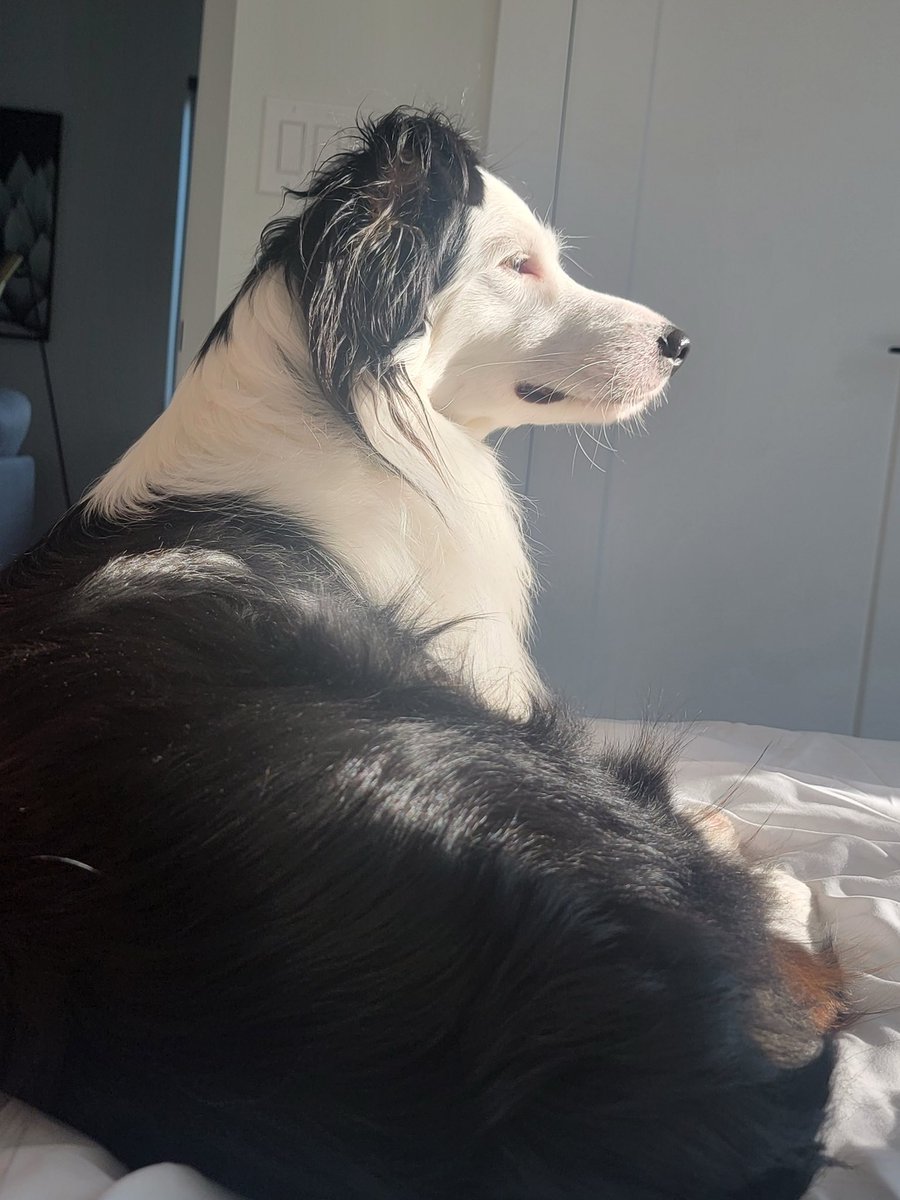 jacobc.eth tweet media