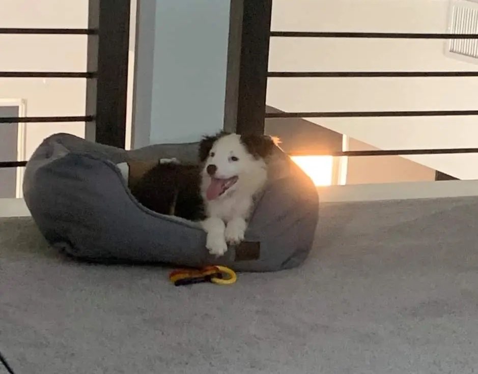 jacobc.eth tweet media