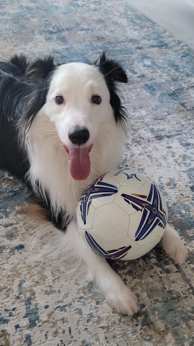 jacobc.eth tweet media