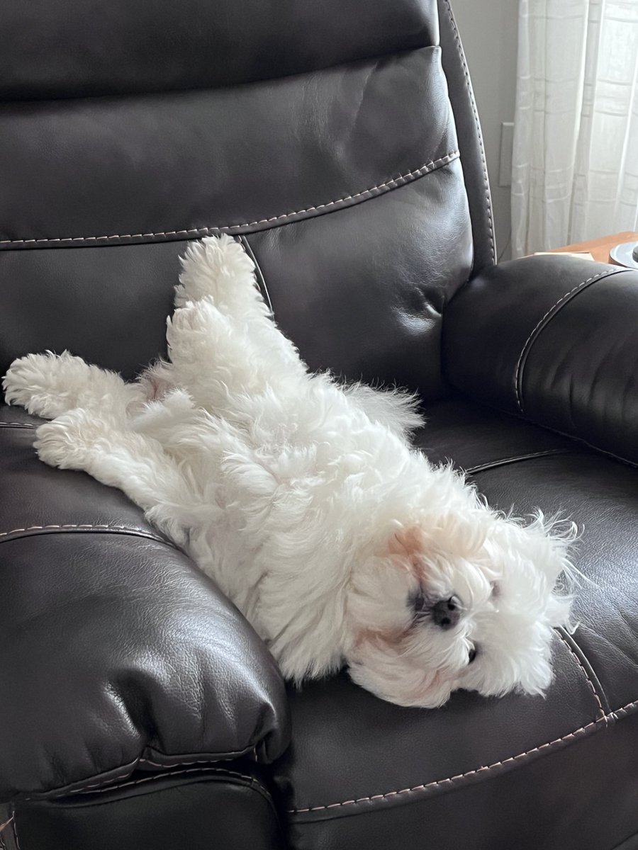 Bay Treasure Chest tweet media