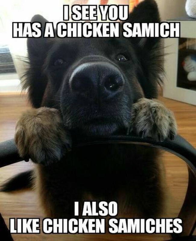 Dalbodog's tweet photo. 😅 https://t.co/8Jhwg0jlCB