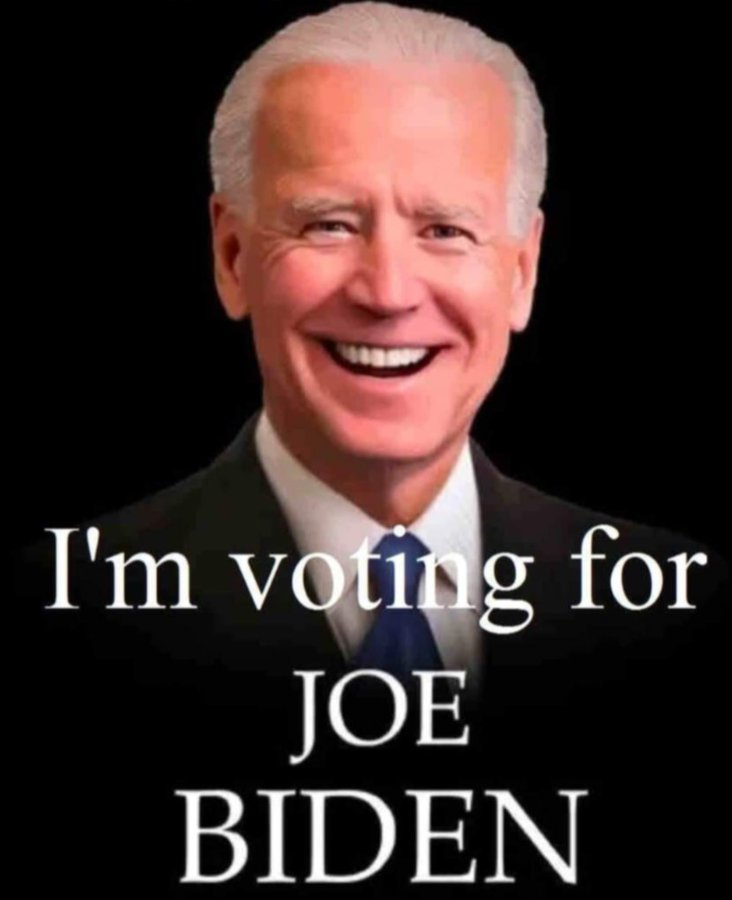1drcole's tweet photo. Are you voting for Biden/Harris in Nov.? @connectblue https://t.co/9qXq1o86xV