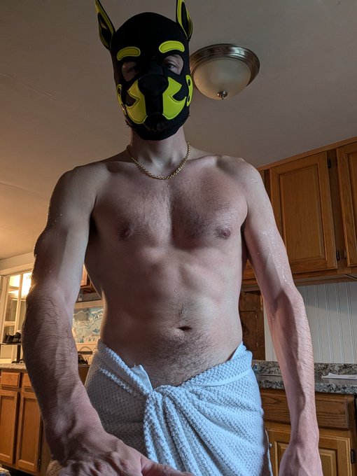 Evening, here is a fully wet but clean Nicwoh. *Shakes* https://t.co/0QCqJyUg8A