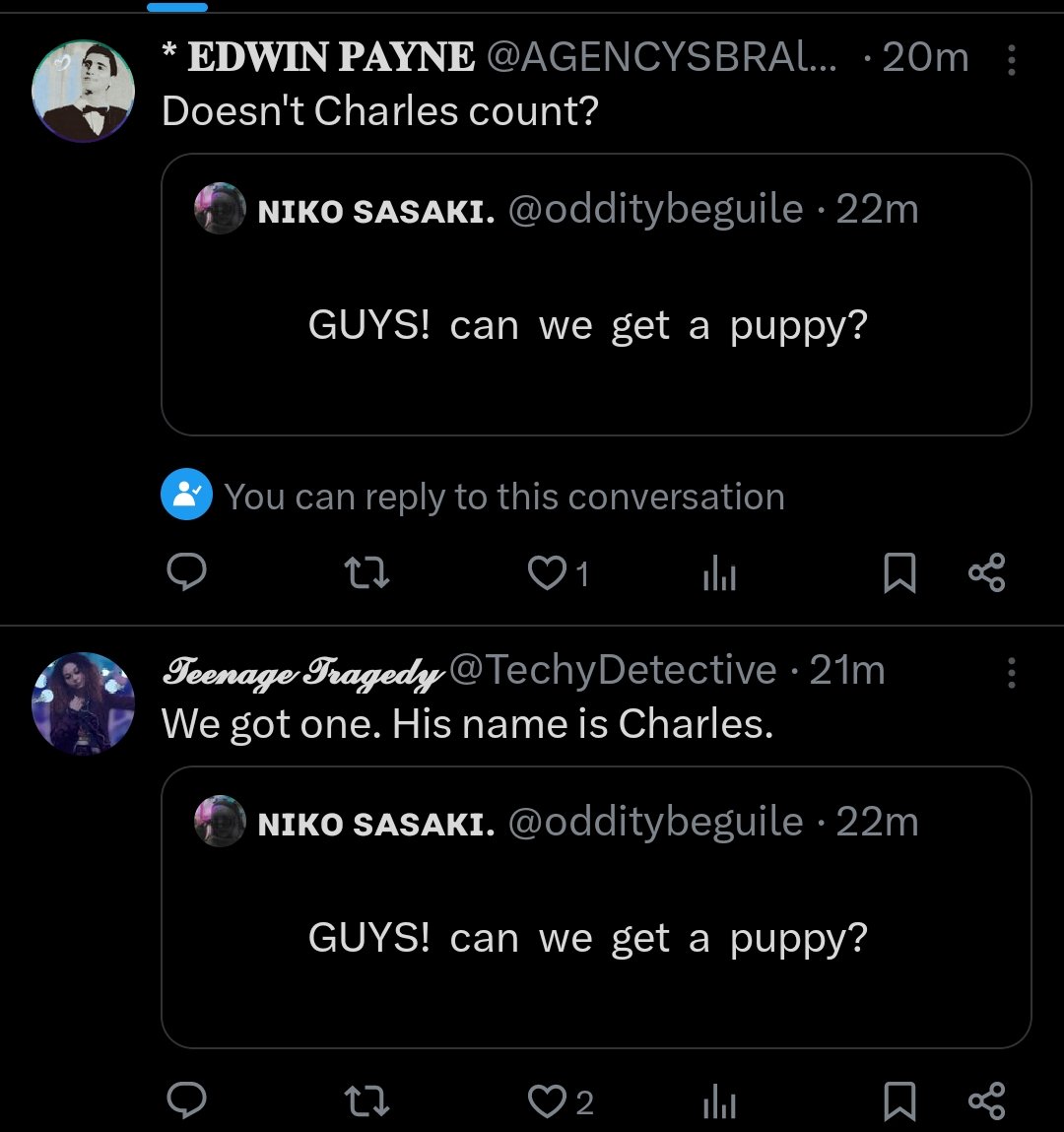 ɴɪᴋᴏ ꜱᴀꜱᴀᴋɪ. (h) tweet media