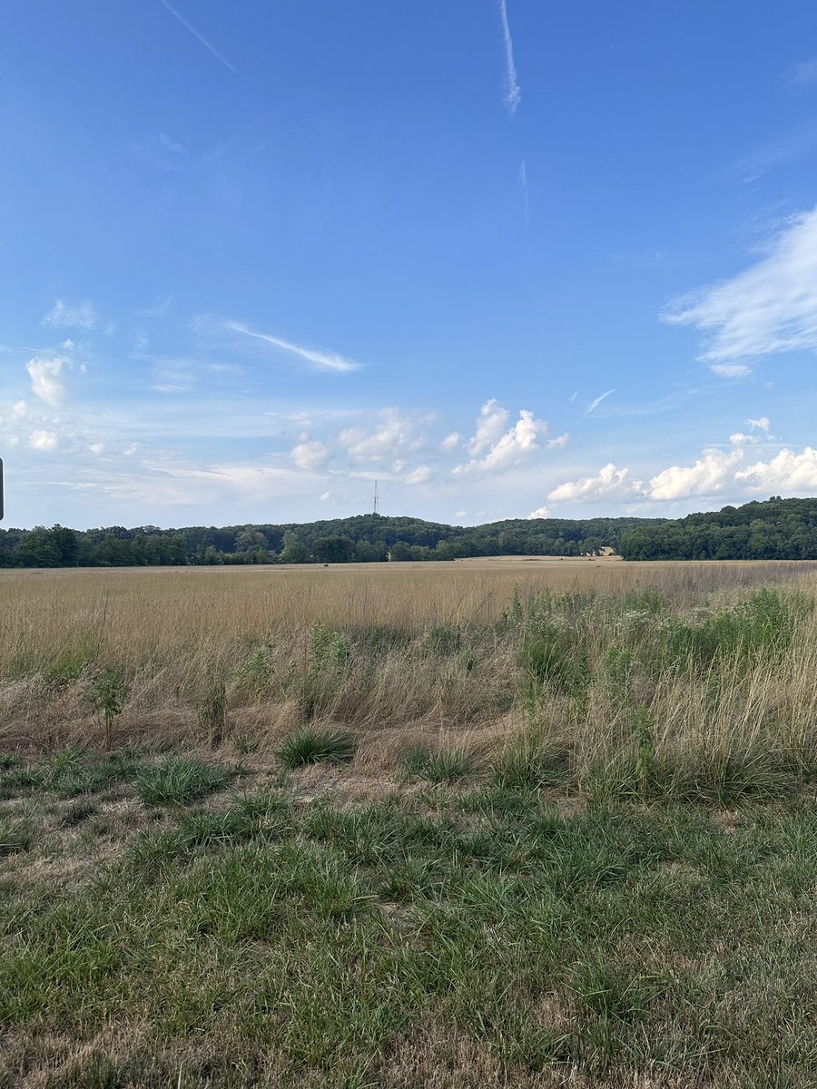 davidlearnslang's tweet photo. Went for a nice run yesterday after studying cybersecurity all day 😭 https://t.co/Fm3kzim9Zs