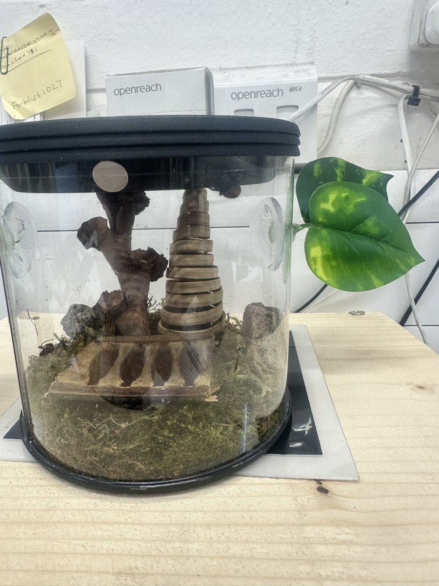 Mikewinch86's tweet image. My little office pet 🕷️named him 
Jamie Webster 🕸️ after the brilliant @JamieWebster94  🙌🙌 #breadline 🫶🫶 RT 🙏🏻🙏🏻