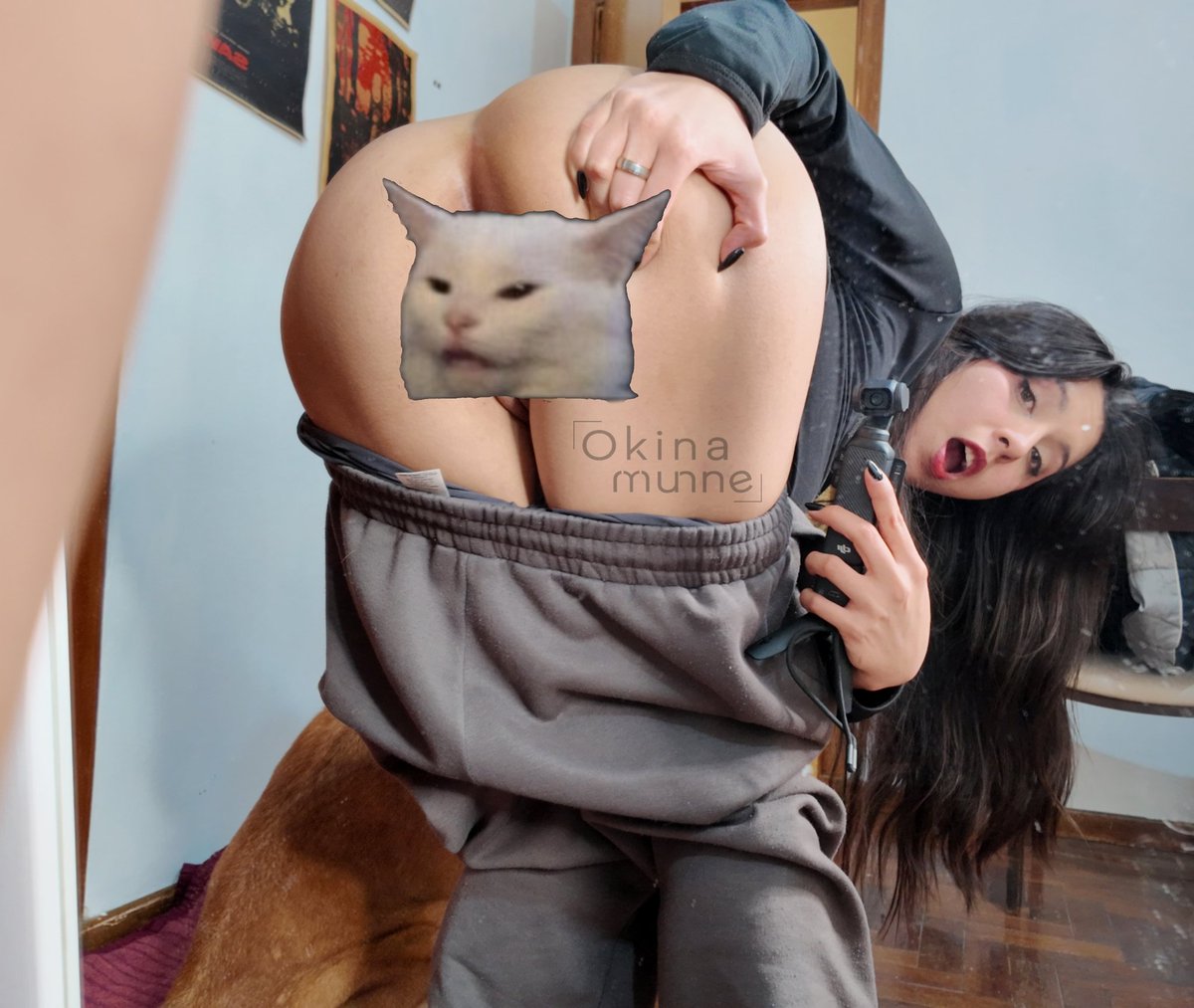 Okina_Munne's tweet photo. 800 RT y le quitamos al gato 🐈❣️ https://t.co/sKCy1To8eA