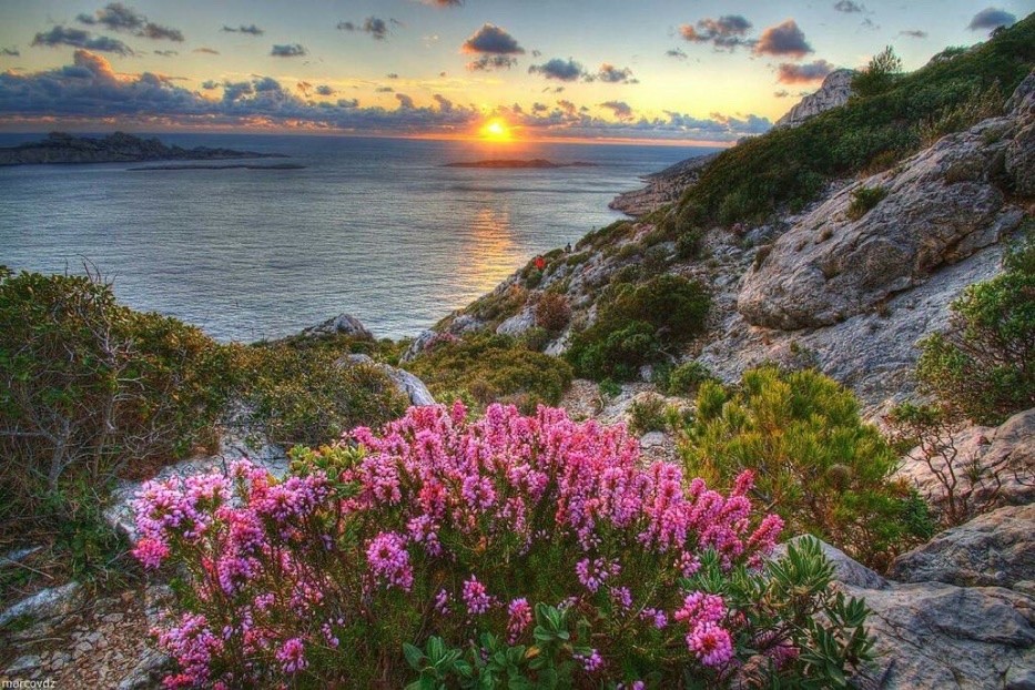 AnneScottlin's tweet image. ❦The goal is not to find moments of splendor, but to find the splendor within each moment. ~Anne Scottlin
#EveningThoughts #inspirationalQuotes #MindfulLiving  #Mindset #LiveForJoy #book