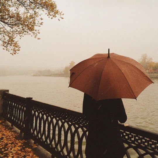 .. الحياة غربة فهي رحلة التعرف على الأشياء .. 
لـذا ابتهج / ى وامضِ دون توقف ،، لتضيء / ئن العالم بروحك .