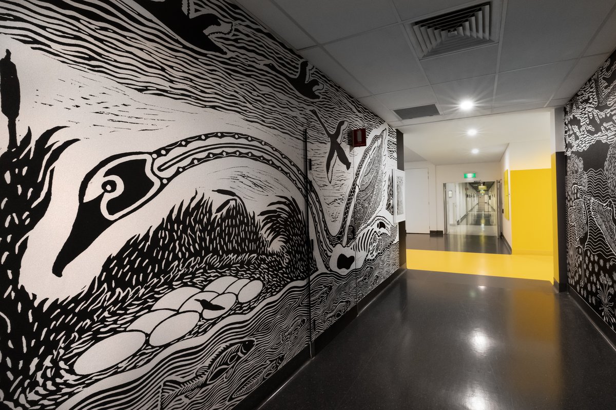 Uncle Badger Bates' mural for the UTS Faculty of Science features 4 distinct artworks, each with their own story. The east wall features the story of 'Yungkuuli, Narran Lake Swans'. 
#badgerbates #waterislife #NAIDOC2024 #NAIDOCWeek #BlakLoudProud #utsart #utsscience