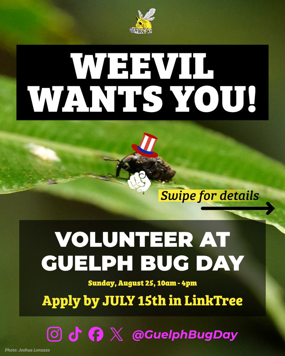 Guelph Bug Day tweet media