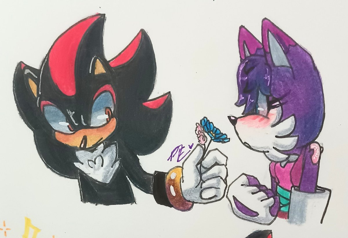 Pfox6464's tweet photo. WE LOVE SHADOXY 🗣️🗣️🗣️
.
#furryartist #ShadowTheHedgehog #RoxyP #PFox64 https://t.co/DPOUO9F8A0