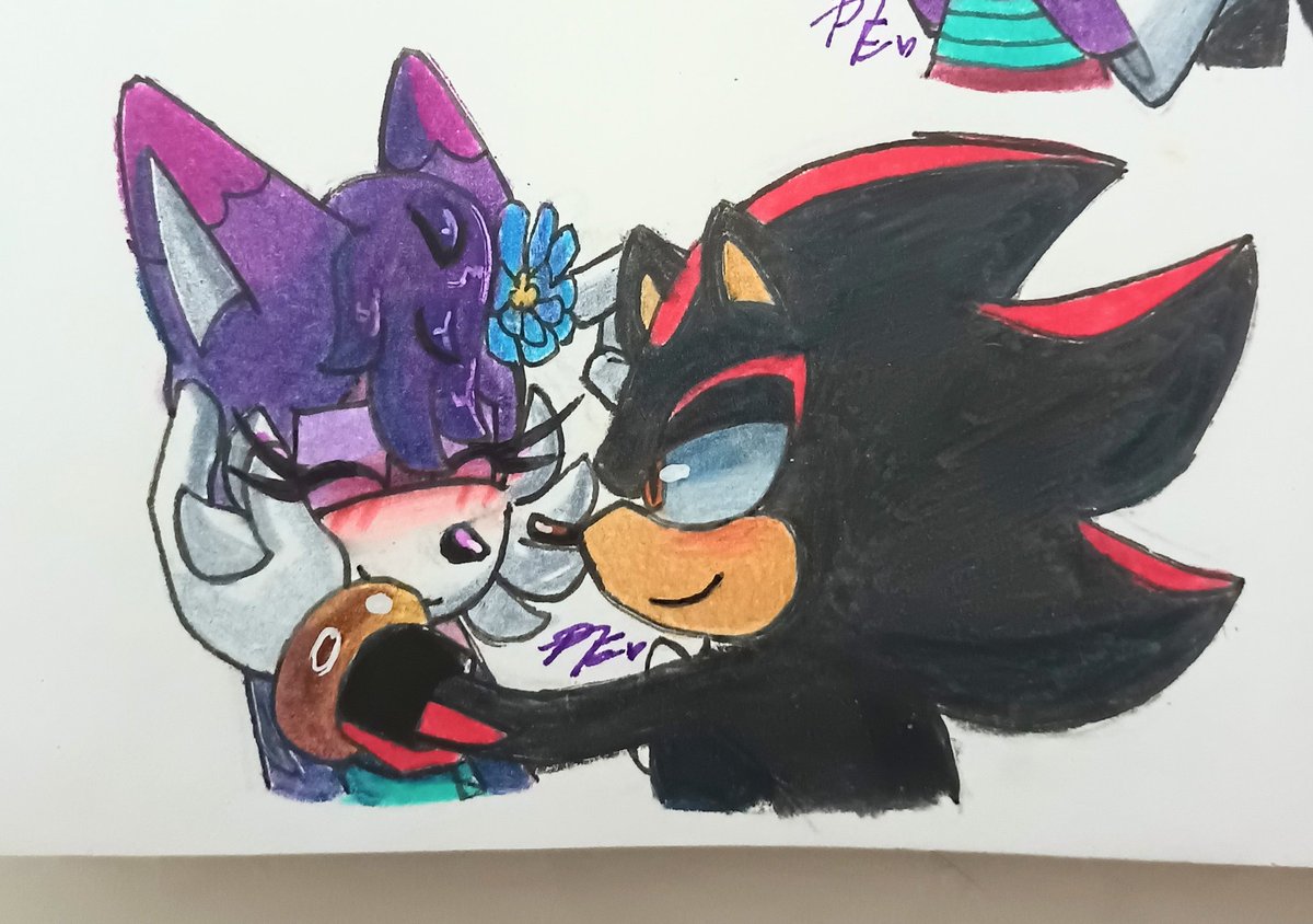 Pfox6464's tweet photo. WE LOVE SHADOXY 🗣️🗣️🗣️
.
#furryartist #ShadowTheHedgehog #RoxyP #PFox64 https://t.co/DPOUO9F8A0