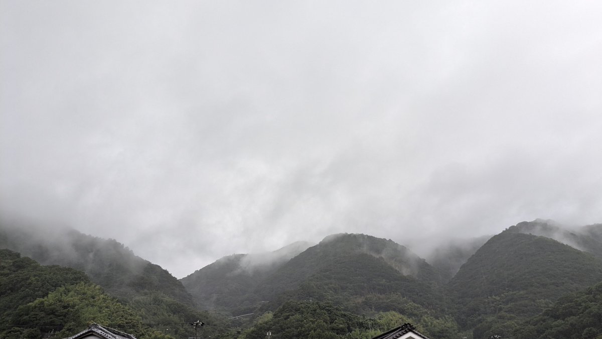 aucfanpartners's tweet photo. おはようございます
愛媛県南予は雨
車庫でヒヨが雨宿り
仕事場の前にはカタツムリ多数
多分カニも出てくる
場所によって雨がひどいとこもあるようですね
お気を付けを
#企業公式が毎朝地元の天気を言い合う #企業公式相互フォロー #愛媛 

#ポケモンスリープ うとうと
本日お越しの皆様 https://t.co/WQxucESWOf