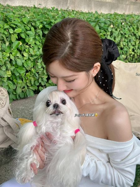 lusiwonii179's tweet photo. Zhao Lusi in white is a vision! ✨ Every time she steps out in that ethereal hue, she radiates an otherworldly glow. And when she smiles? OMG... It's like a glimpse of fairy..😍🤍
#ZhaoLusi #RosyZhao #RosyStyle #ZhaoLusixLovesAmbition
#Lusi https://t.co/nGhgdPW19Z
