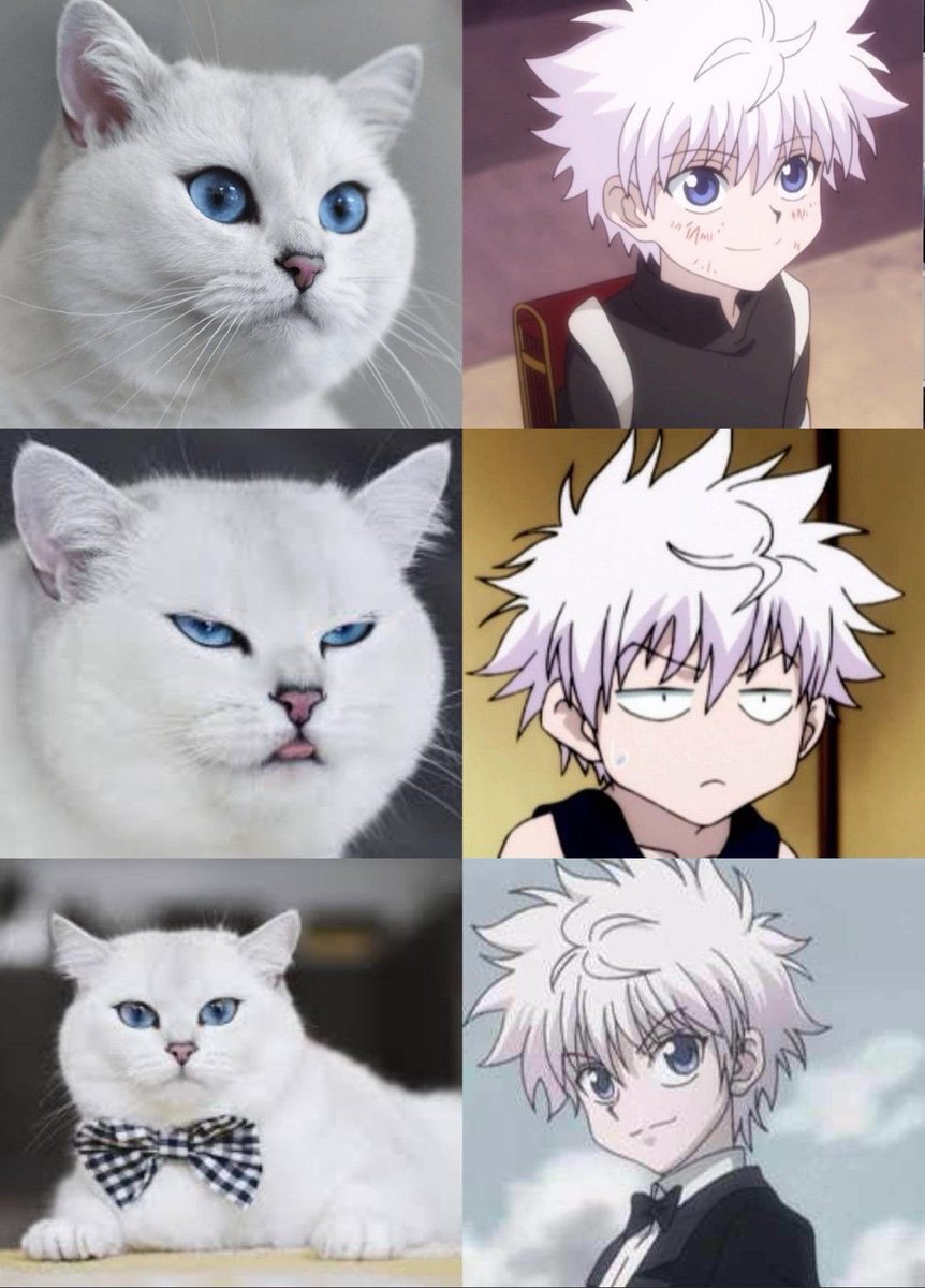 Hunter x Hunter 🃏 tweet media
