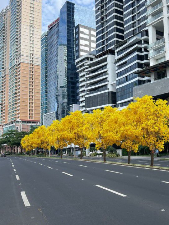 Mayer Mizrachi tweet media