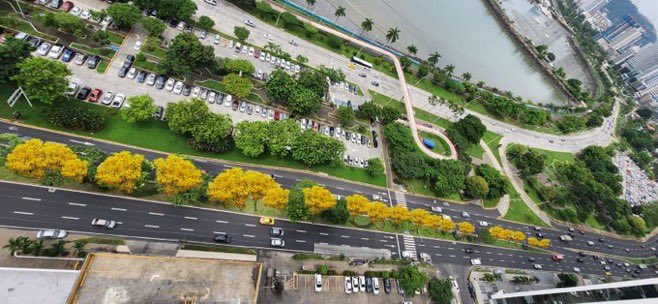 Mayer Mizrachi tweet media