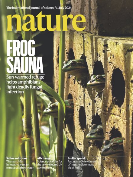 I know it's not exactly a pun but there's something kind of funny about "frog sauna" and a guy named "waddle", right? Just me?