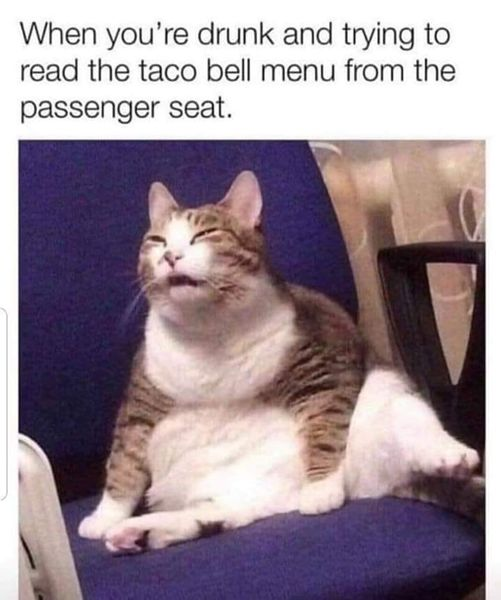 Justice 🍀 (@unionrebelms) on Twitter photo 