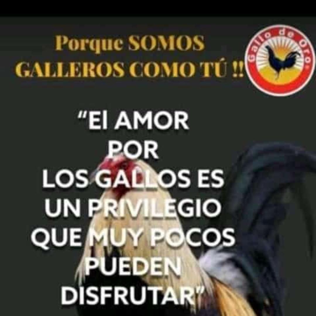 LeonerAguilera's tweet photo. #NuevaFotoDePerfil https://t.co/XS25VJIxKT