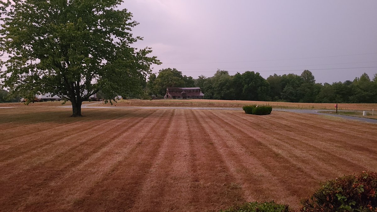 empty blanks tweet media