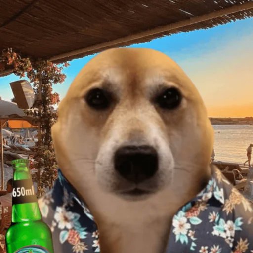 vibin dog tweet media