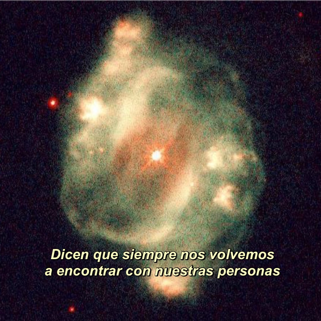 Camila Nobile (@diwalicosmica) on Twitter photo 