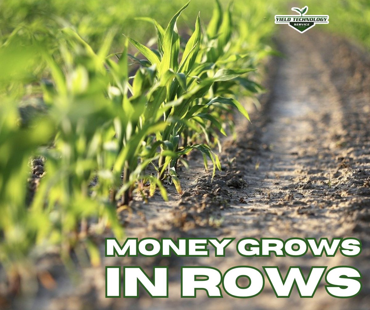 YieldTechnology's tweet image. Money doesn&apos;t grow on trees, it grows in rows!

Make sure you are getting the most out of your crop. Don&apos;t leave any money in the field. 

YieldTechnologyService.com

#Tech #Yield #Bushel #Corn #Soybean #Roi