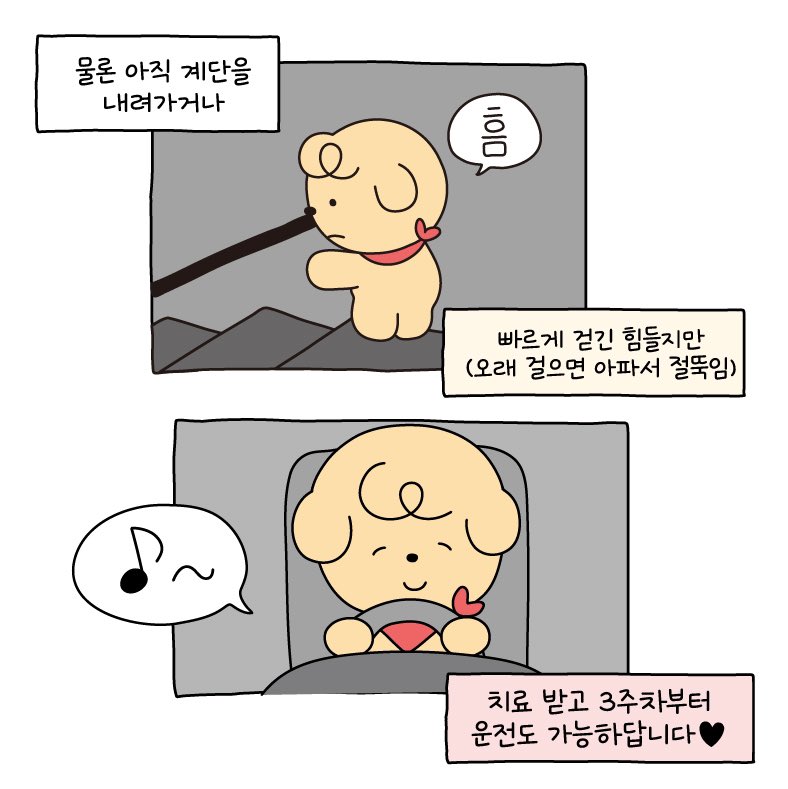 다리 다쳤어요 힝입니다 이야기의 마무리!
(6/4)🥹