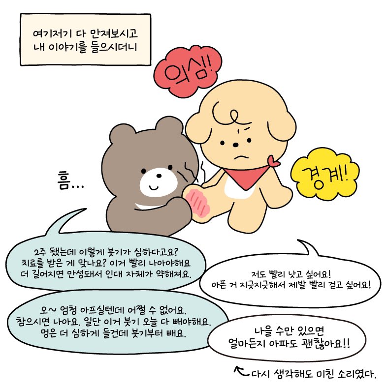 🐶또자🍎 (@ddoja0325) on Twitter photo 