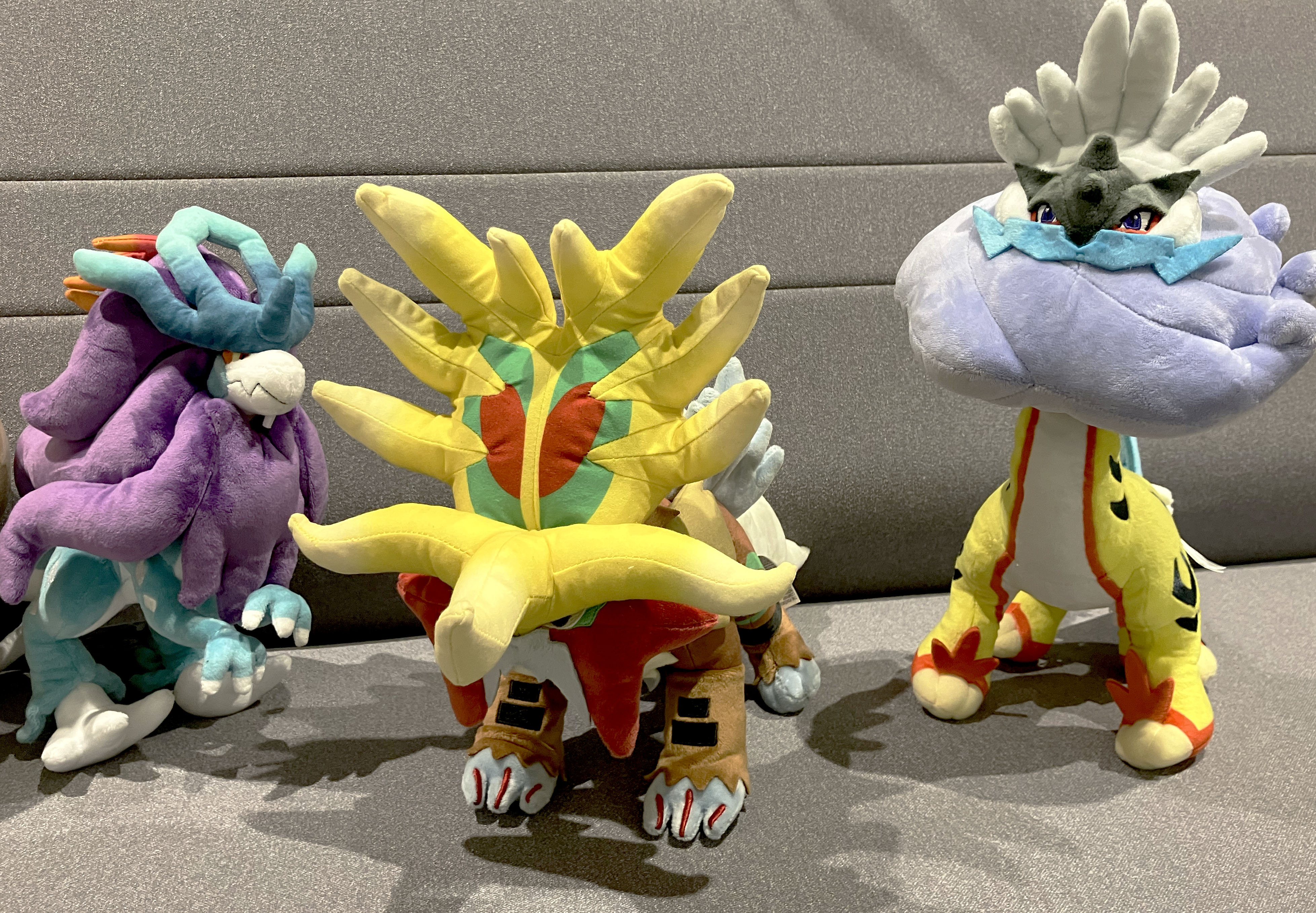 公式】ポケモン情報局 on X: 公式】ポケモン情報局 on X: